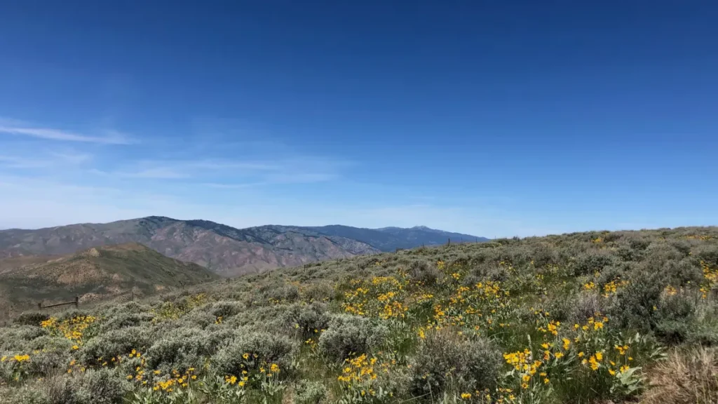 Boise ID Steppe Region